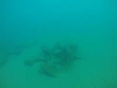 Informe Dron Submarino